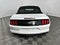 2023 Ford Mustang EcoBoost